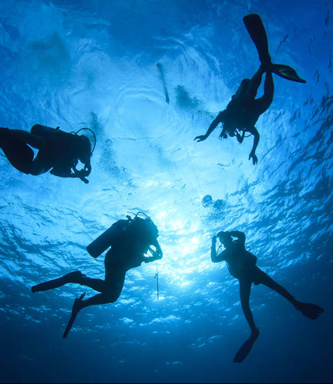 Experience Authentic Crete Scuba Diving