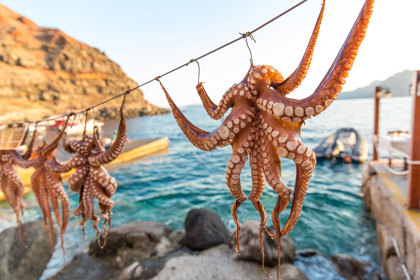 Experience Authentic Crete Octopus