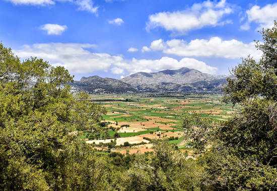 Experience Authentic Crete
