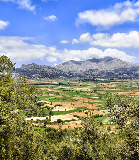 Experience Authentic Crete